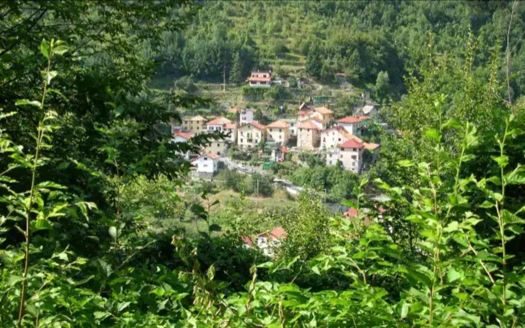 Il Non Ti Scordar Di Me Villa Valbravenna Eksteriør bilde