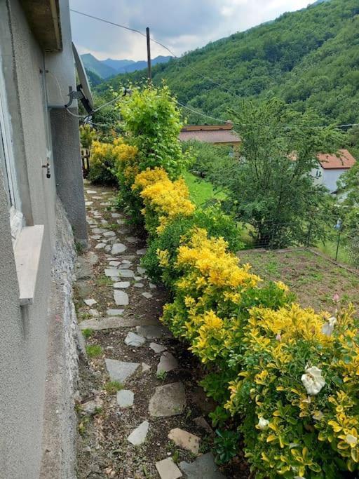 Il Non Ti Scordar Di Me Villa Valbravenna Eksteriør bilde