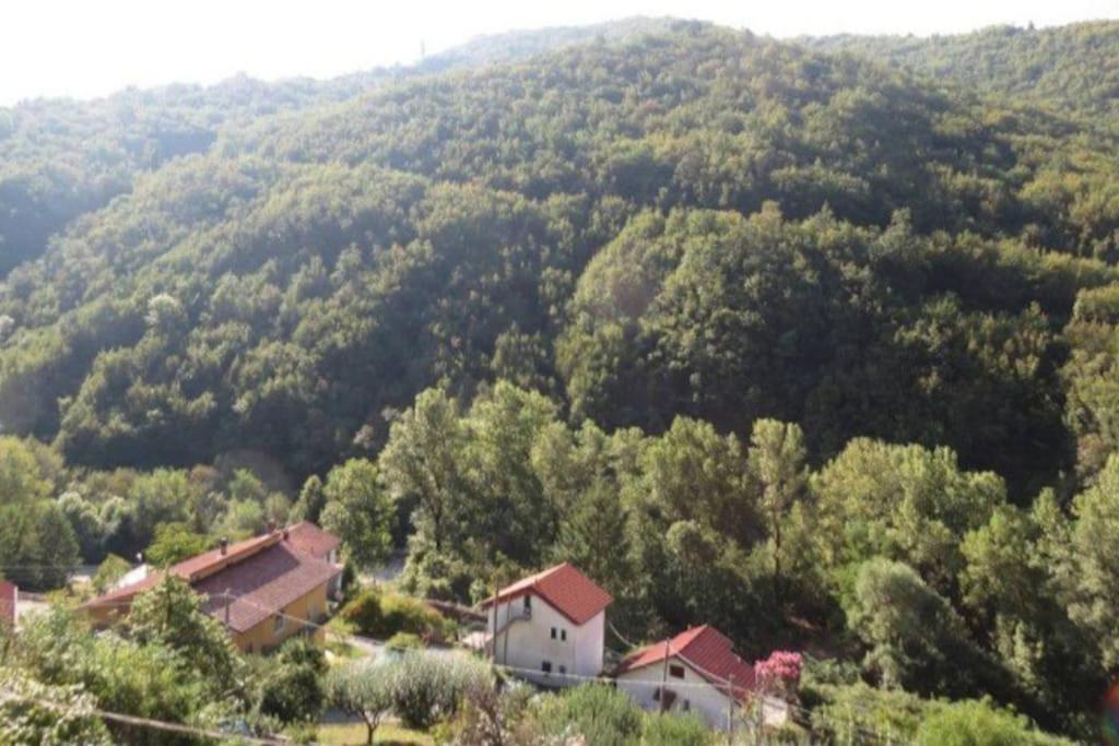 Il Non Ti Scordar Di Me Villa Valbravenna Eksteriør bilde
